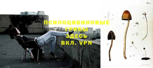 индика Майский