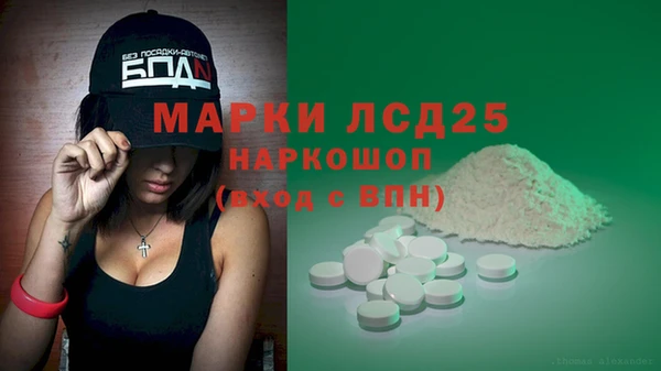 индика Майский