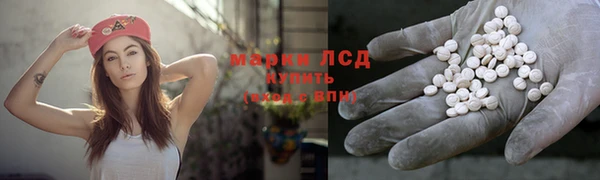 стафф Медвежьегорск