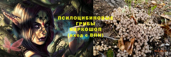 гидра Мегион