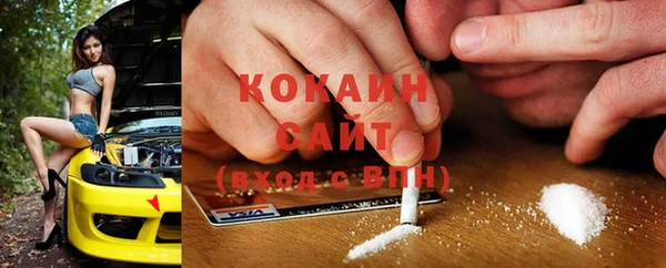 индика Майский