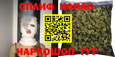 трава Камышлов