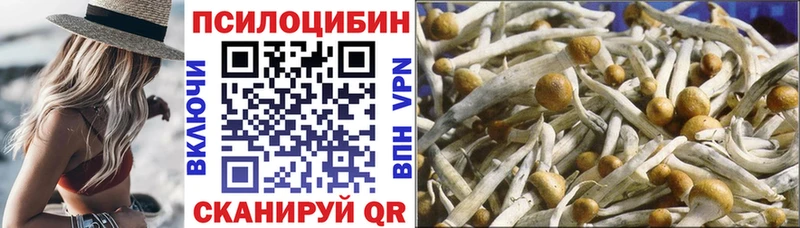Галлюциногенные грибы GOLDEN TEACHER  Юрга 