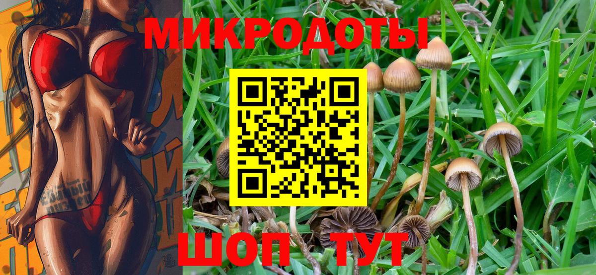 Псилоцибиновые грибы MAGIC MUSHROOMS  Вход с VPN  Псилоцибиновые грибы прущие грибы  купить наркотики сайты  Юрга 
