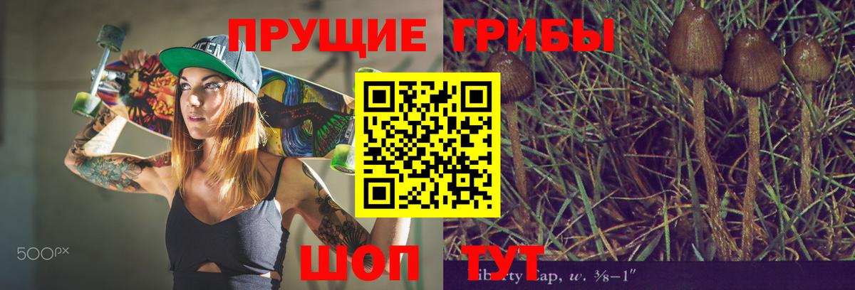 Псилоцибиновые грибы Psilocybine cubensis Юрга
